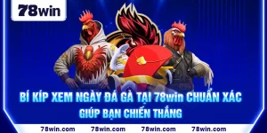 1-bi-kip-xem-ngay-da-ga-tai-78win-chuan-xac-giup-ban-chien-thang