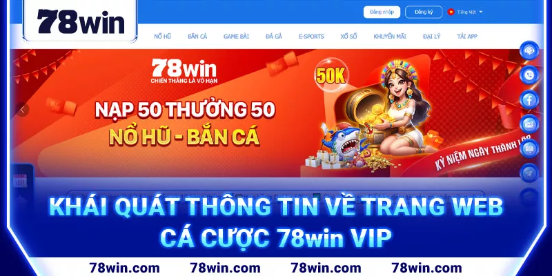 7-khai-quat-thong-tin-ve-trang-web-ca-cuoc-78win-vip