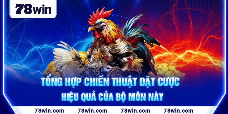 4-tong-hop-chien-thuat-dat-cuoc-hieu-qua-cua-bo-mon-nay